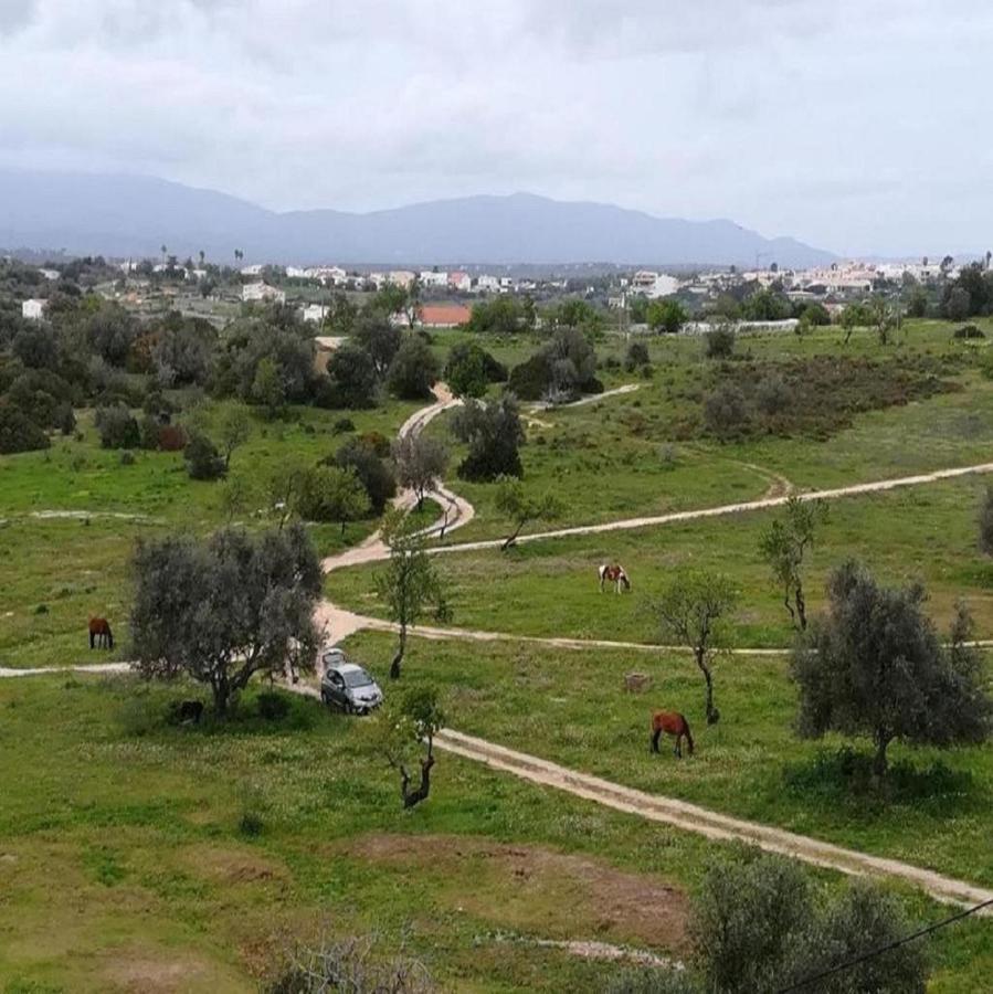 Cozy Sunny Apartment Wi-Fi & Ac Alvor Bagian luar foto